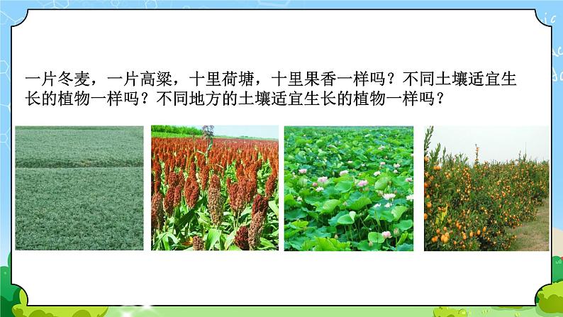 10 土壤的种类 教学课件第2页