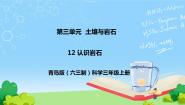 科学三年级上册12 认识岩石优秀教学课件ppt