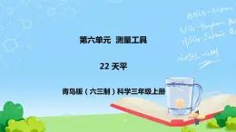 22 天平 教学课件