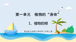 1.1《植物的根》教學(xué)課件