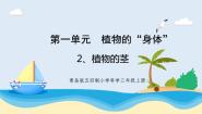 科学三年级上册2 植物的茎获奖教学ppt课件