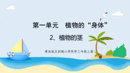 1.2《植物的莖》教學(xué)課件