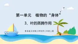 1.3《葉的蒸騰作用》教學(xué)課件