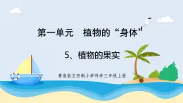 1.5《植物的果實》教學(xué)課件