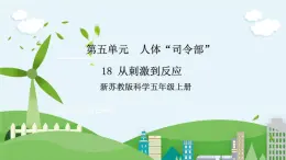 新蘇教版科學(xué)五年級(jí)上冊(cè)  5.18《從刺激到反應(yīng)》 課件+教案