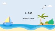湘科版 (2017)五年级上册3 生锈完美版ppt课件