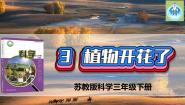 苏教版 (2017)三年级下册3 植物开花了教课内容ppt课件