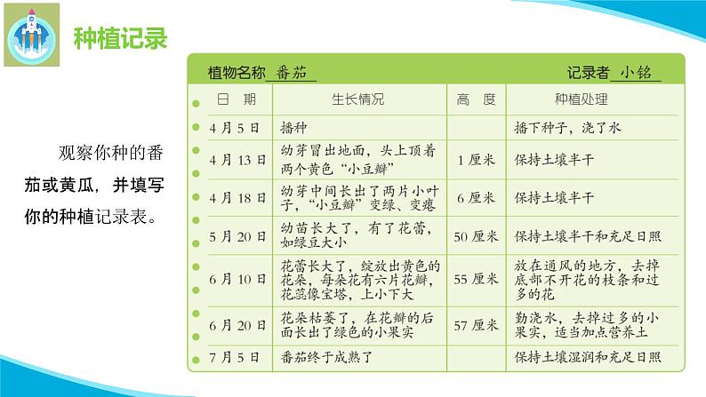 苏教版科学三年级下册4植物结果了PPT课件第5页