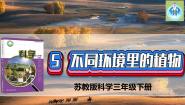 小学科学苏教版 (2017)三年级下册5 不同环境里的植物示范课课件ppt