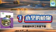 小学科学苏教版 (2017)三年级下册第二单元 植物与环境7 水里的植物课前预习ppt课件