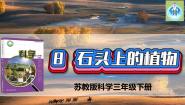 小学科学8 石头上的植物图片ppt课件