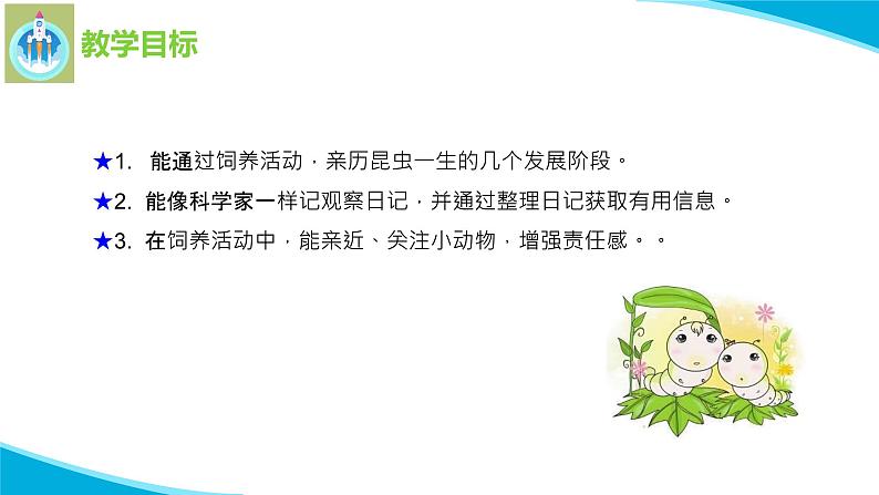 苏教版科学四年级下册10养昆虫PPT课件02
