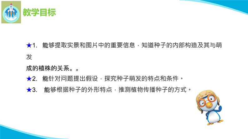 苏教版科学四年级下册12用种子繁殖PPT课件02