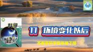 小学科学苏教版 (2017)四年级下册17 环境变化以后授课课件ppt