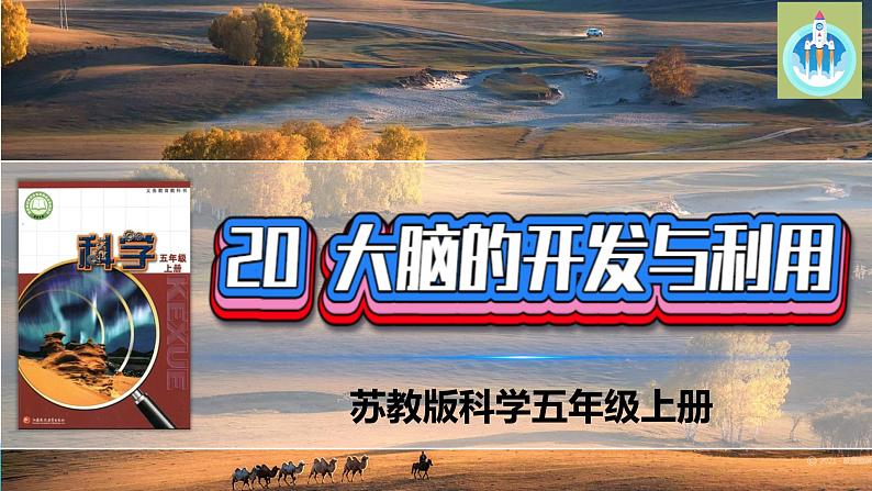 新版苏教版科学-20大脑的开发与利用-五年级上册PPT课件01