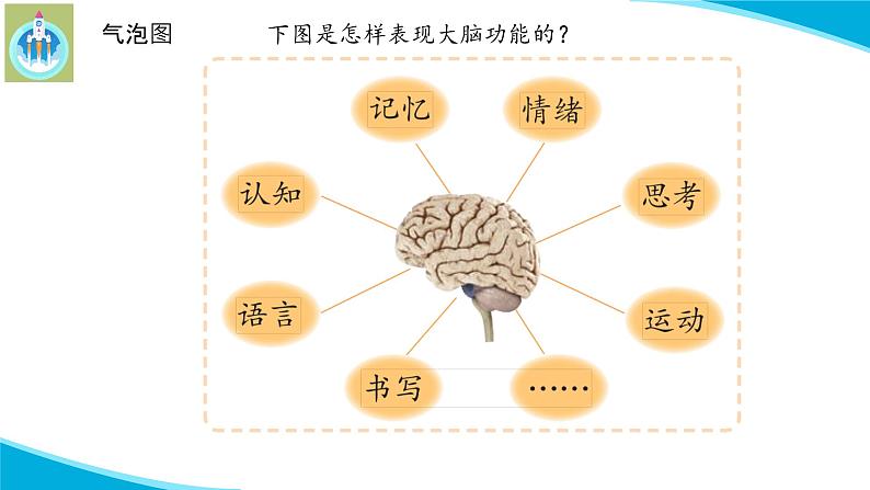 新版苏教版科学-20大脑的开发与利用-五年级上册PPT课件03