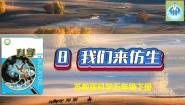 科学苏教版 (2017)8 我们来仿生评课ppt课件