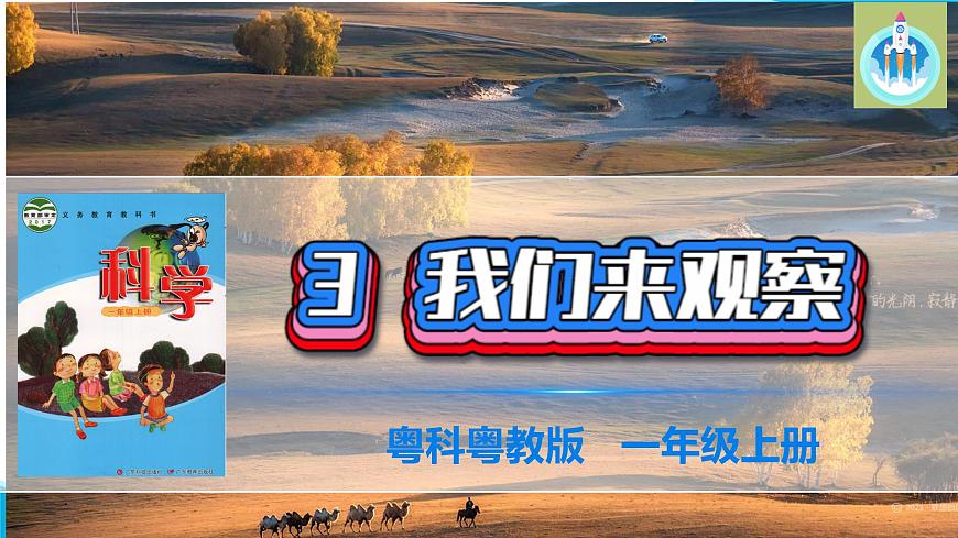 粵科粵教版科學(xué)一年級上冊3我們來觀察PPT課件修改版第1頁