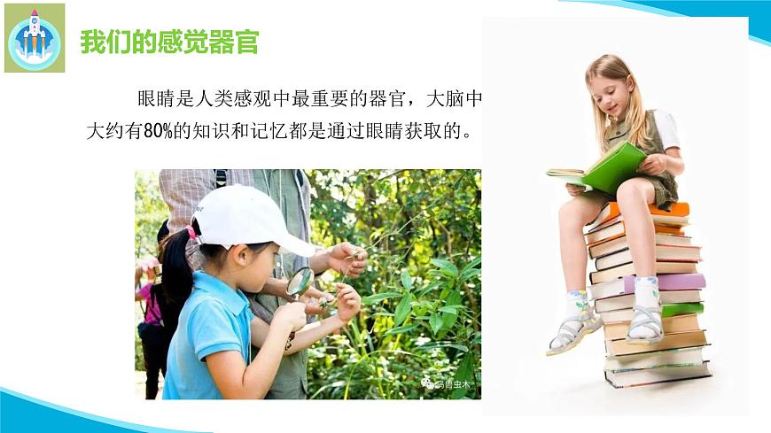 粵科粵教版科學(xué)一年級上冊3我們來觀察PPT課件修改版第6頁