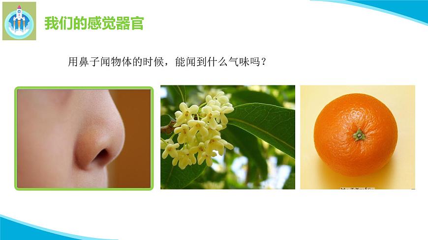 粵科粵教版科學(xué)一年級上冊3我們來觀察PPT課件修改版第8頁