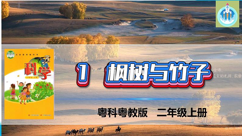 粤科粤教版科学二年级上册1枫树与竹子课件第1页