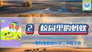 粤教粤科版 (2017)二年级下册第1单元 身边的动物2 校园里的蚂蚁课文配套ppt课件