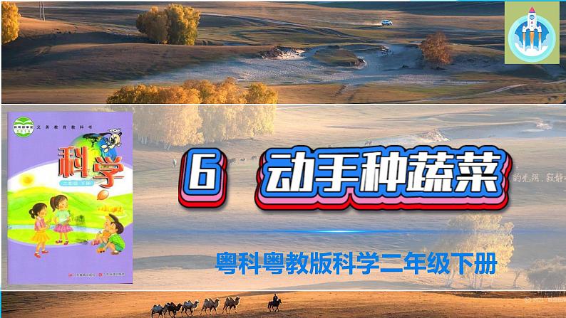 粤科粤教版科学二年级下册6动手种蔬菜PPT课件第1页