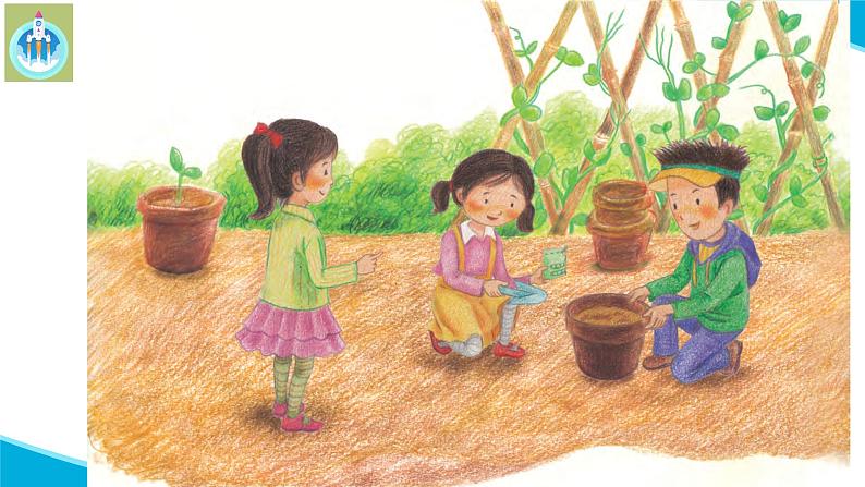 粤科粤教版科学二年级下册6动手种蔬菜PPT课件第2页