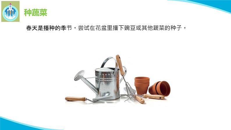 粤科粤教版科学二年级下册6动手种蔬菜PPT课件第4页