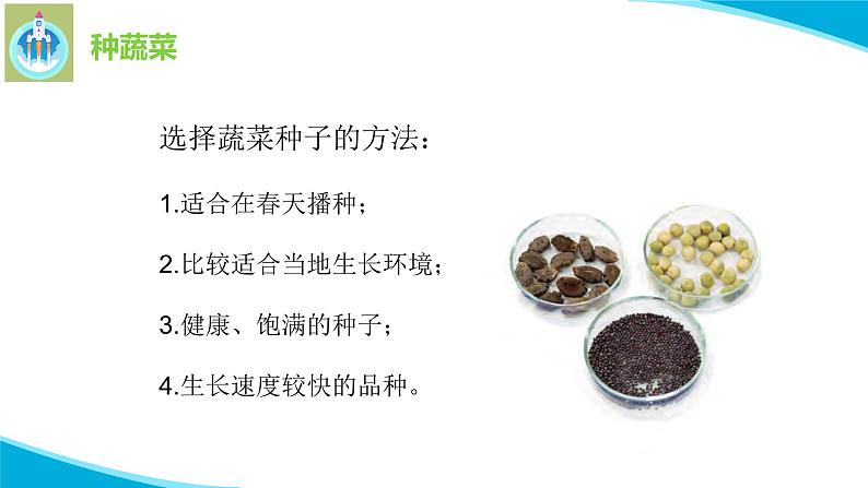 粤科粤教版科学二年级下册6动手种蔬菜PPT课件第6页