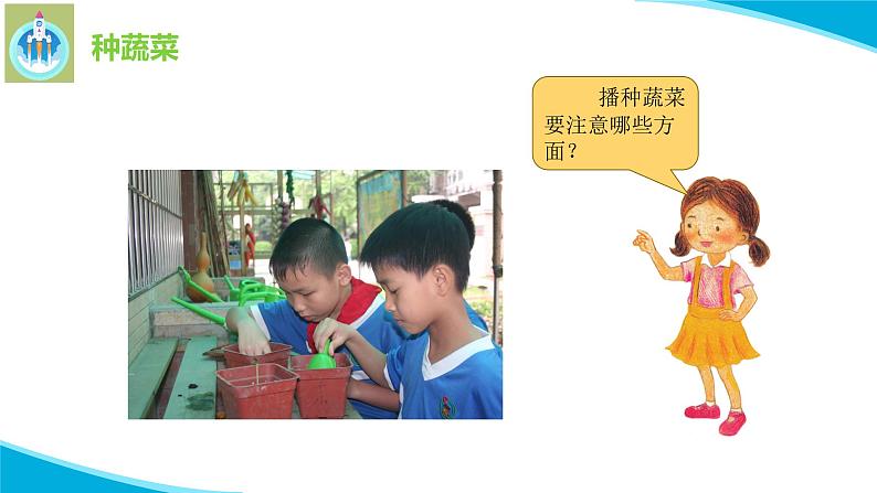 粤科粤教版科学二年级下册6动手种蔬菜PPT课件第7页