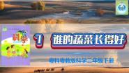 科学二年级下册7 谁的蔬菜长得好图片课件ppt