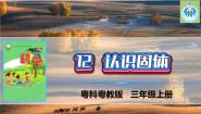 小学科学粤教粤科版 (2017)三年级上册第3单元 固体、液体和气体12 认识固体教学演示课件ppt