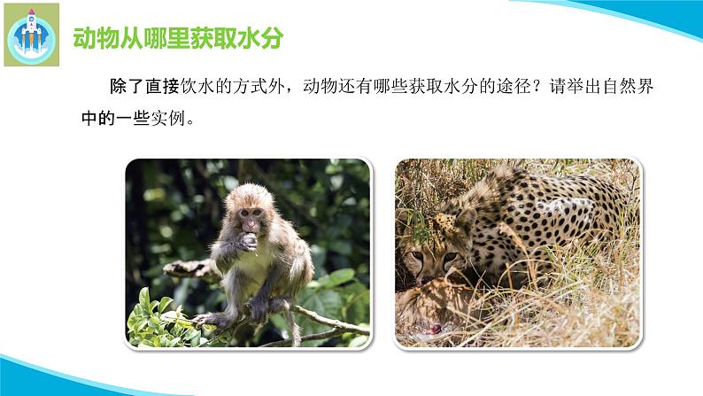 粤教版科学四年级下册9动物需要水分PPT课件新版第8页