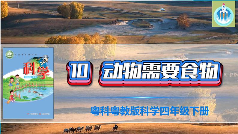 粤教版科学四年级下册10动物需要食物PPT课件新版01