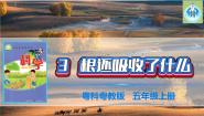 小学科学粤教粤科版 (2017)五年级上册3 根还吸收了什么课文配套课件ppt