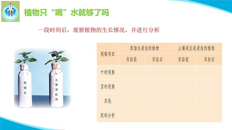粤科粤教版科学五年级上册课件3根还吸收了什么08