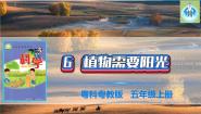 小学科学粤教粤科版 (2017)五年级上册6 植物需要阳光教课内容ppt课件