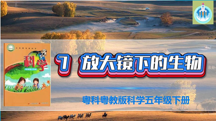 (2022)粵教版科學(xué)五年級下冊7放大鏡下的生物PPT課件新版第1頁