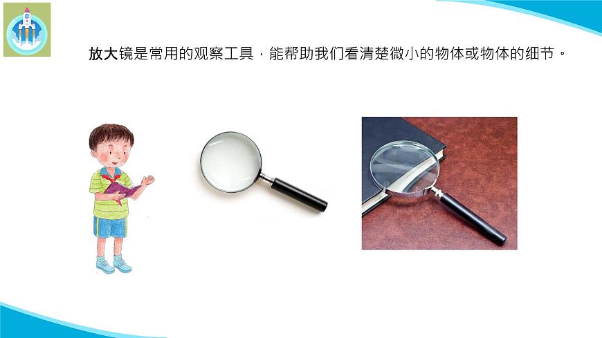 (2022)粵教版科學(xué)五年級下冊7放大鏡下的生物PPT課件新版第2頁