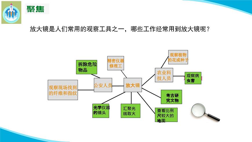 (2022)粵教版科學(xué)五年級下冊7放大鏡下的生物PPT課件新版第4頁