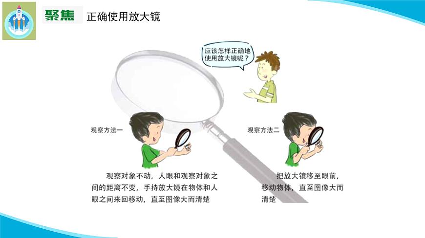 (2022)粵教版科學(xué)五年級下冊7放大鏡下的生物PPT課件新版第5頁