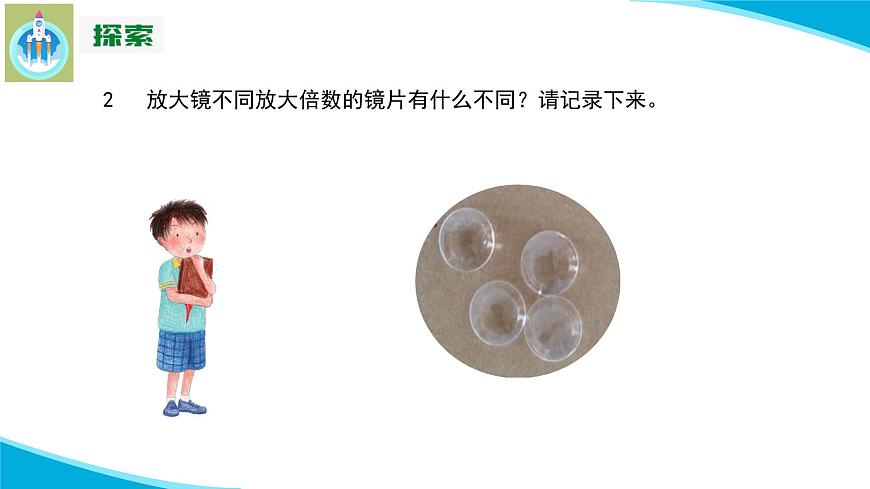 (2022)粵教版科學(xué)五年級下冊7放大鏡下的生物PPT課件新版第8頁