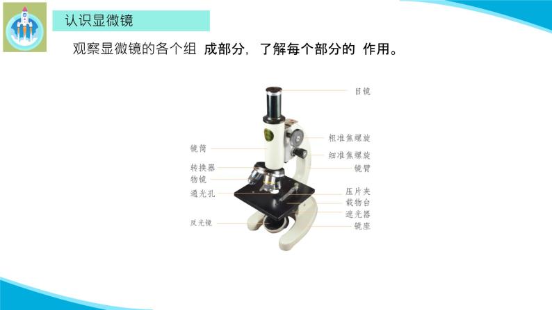 (2022)粤教版科学五年级下册8科学观察的工具显微镜PPT课件新版04