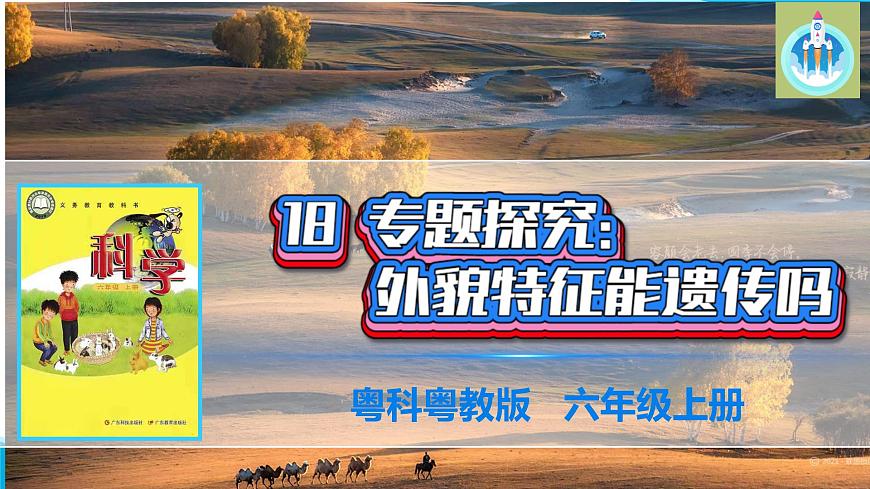 粵科粵教版科學(xué)六年級上冊18專題探究外貌特征能遺傳嗎課件PPT第1頁