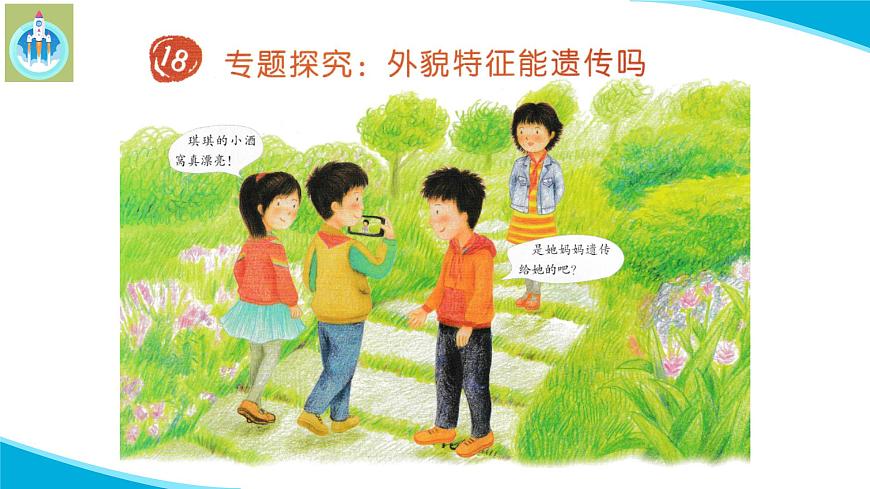 粵科粵教版科學(xué)六年級上冊18專題探究外貌特征能遺傳嗎課件PPT第2頁