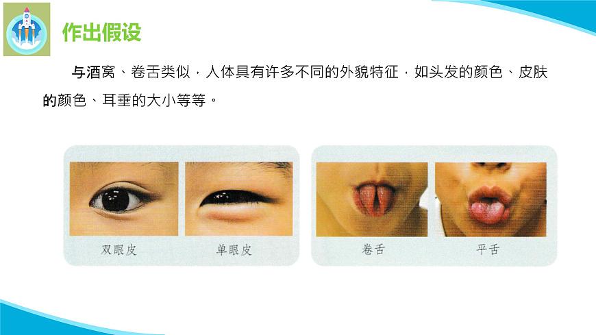 粵科粵教版科學(xué)六年級上冊18專題探究外貌特征能遺傳嗎課件PPT第5頁