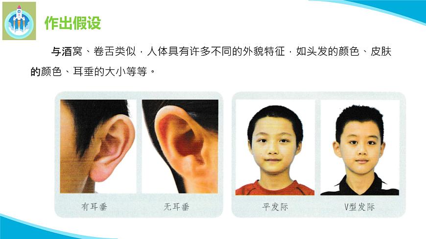 粵科粵教版科學(xué)六年級上冊18專題探究外貌特征能遺傳嗎課件PPT第6頁
