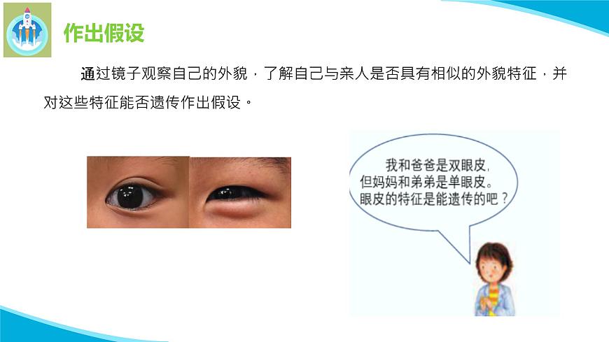 粵科粵教版科學(xué)六年級上冊18專題探究外貌特征能遺傳嗎課件PPT第7頁