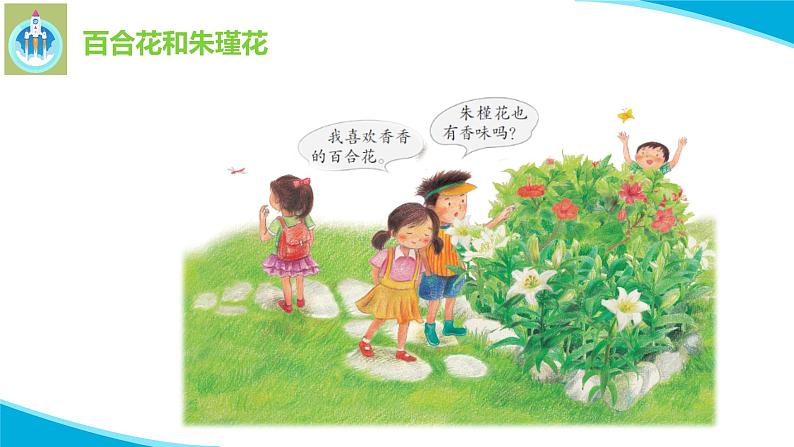 粤科粤教版科学二年级上册3百合与朱瑾课件02